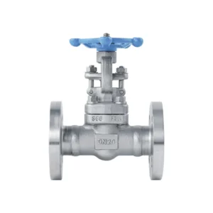 Forged Steel Gate Valve