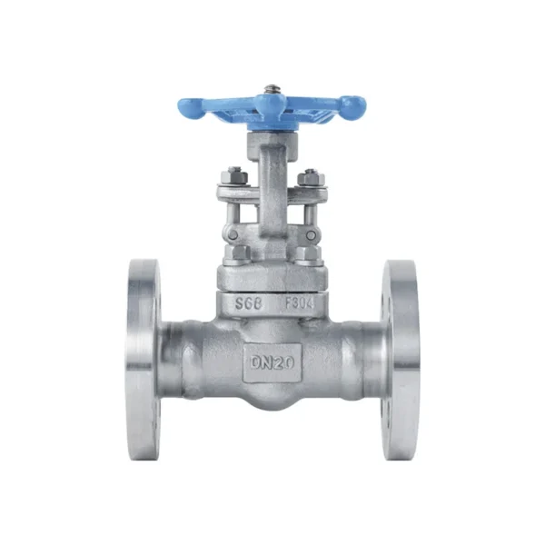 Forged Steel Gate Valve