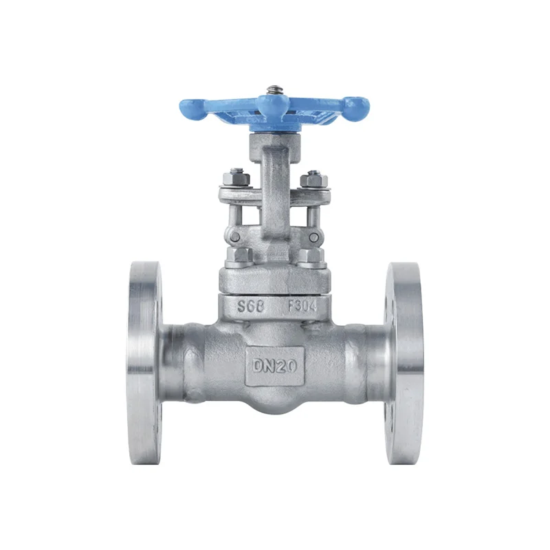 Forged Steel Gate Valve