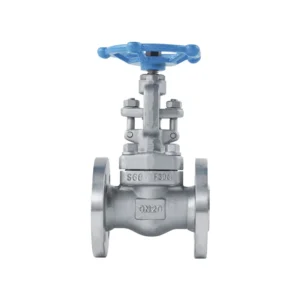 Forged Steel Globe Valve