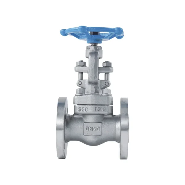 Forged Steel Globe Valve