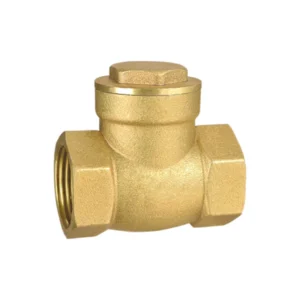 HW T Threaded check valve