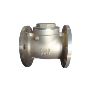 HW T Flanged Check Valve