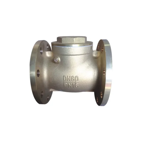 HW T Flanged Check Valve