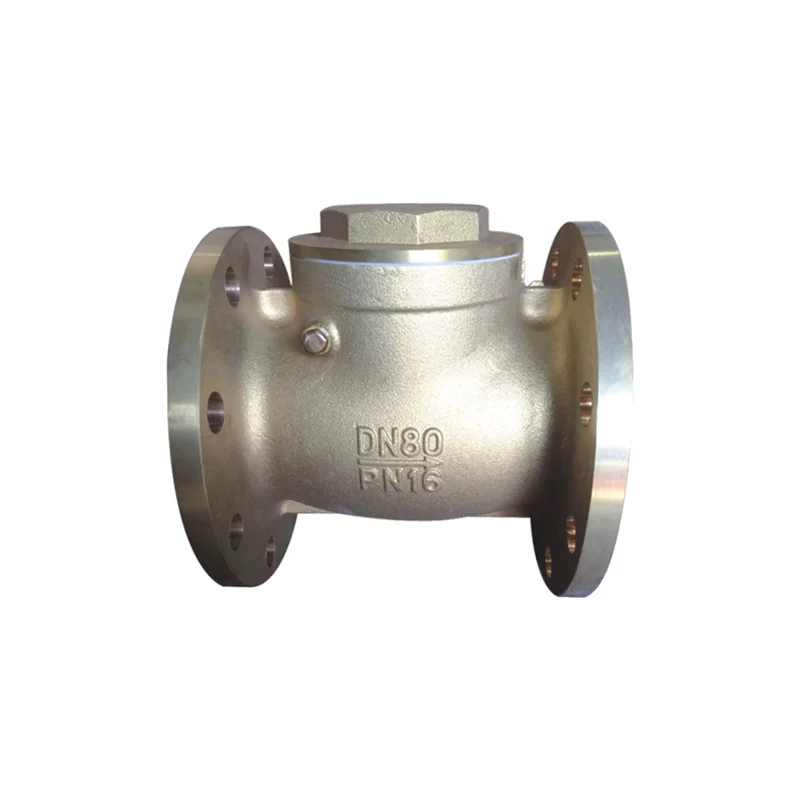 HW T Flanged Check Valve
