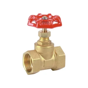 JW T Threaded globe valve
