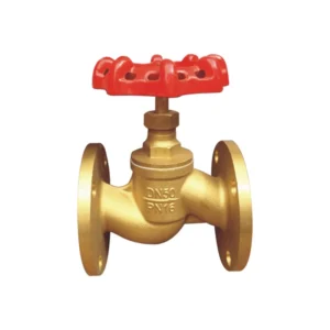 JW T Flange globe valve