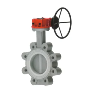 Soft Seal Lug Butterfly Valve