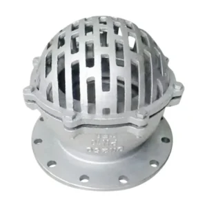 HW Stainless Steel Foot Valve